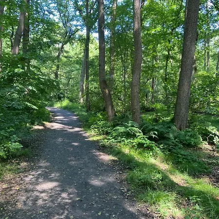 Apartment Kuestenapartment 2 *